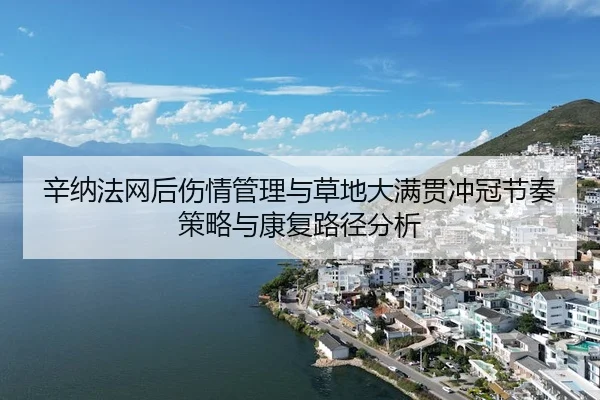 辛纳法网后伤情管理与草地大满贯冲冠节奏策略与康复路径分析