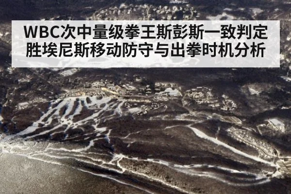 WBC次中量级拳王斯彭斯一致判定胜埃尼斯移动防守与出拳时机分析